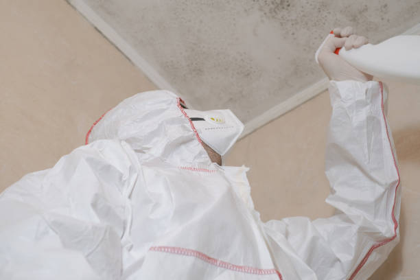 Pittsburg, KS Mold Removal Company